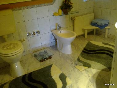 Maison de vacances �/en/au Balatonbogl�r (Somogy)ou appartement ou maison de vacances