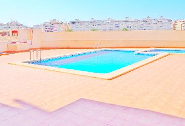Appartement de vacances /en/au Torrevieja (Alicante / Alacant)ou appartement ou maison de vacances