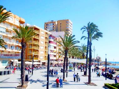 Appartement de vacances /en/au Torrevieja (Alicante / Alacant)ou appartement ou maison de vacances