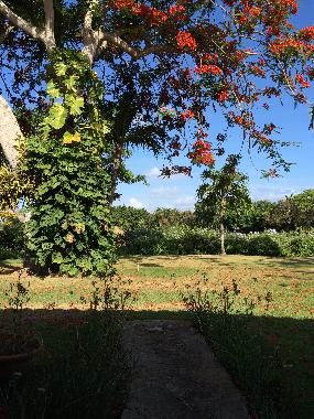 Villa �/en/au La Romana (La Romana)ou appartement ou maison de vacances