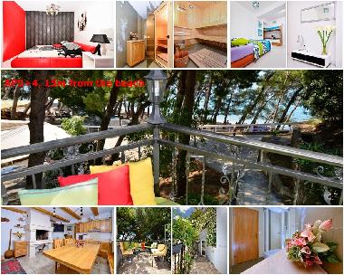 Appartement de vacances �/en/au Makarska (Splitsko-Dalmatinska)ou appartement ou maison de vacances
