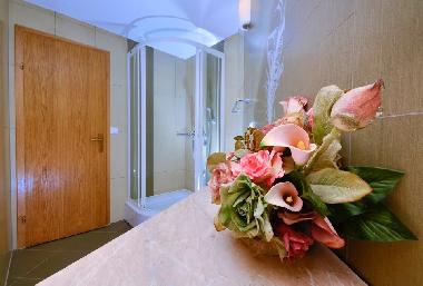 Appartement de vacances �/en/au Makarska (Splitsko-Dalmatinska)ou appartement ou maison de vacances