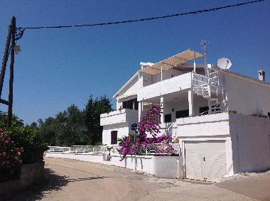 Maison de vacances �/en/au Zadar (Zadarska)ou appartement ou maison de vacances
