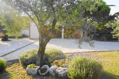 Maison de vacances /en/au Vodnjan (Istarska)ou appartement ou maison de vacances