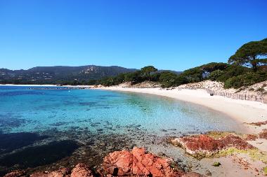 Plage de palombaggia