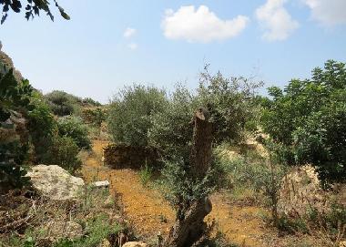 Villa �/en/au Xaghra (Gozo)ou appartement ou maison de vacances