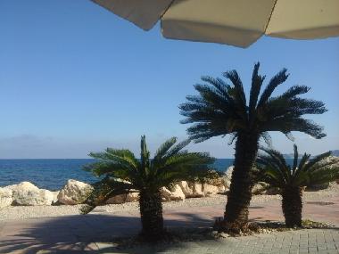 Appartement de vacances �/en/au Javea (Alicante / Alacant)ou appartement ou maison de vacances