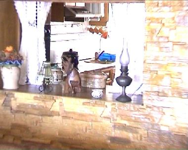 Le "passe-plats" pour rester en contact pendant la cuisson