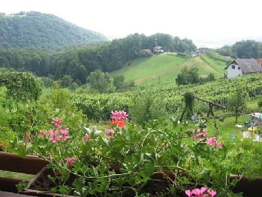 Chalet �/en/au Struge?Luce (Luce)ou appartement ou maison de vacances