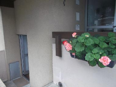 Appartement de vacances �/en/au Lauterbrunnen (Lauterbrunnen - Jungfrau)ou appartement ou maison de vacances