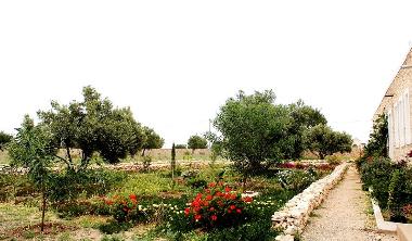 Jardin de fleurs et d
