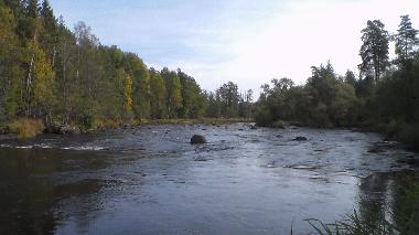 Maison de vacances �/en/au M�nsteras kommun (Smaland)ou appartement ou maison de vacances