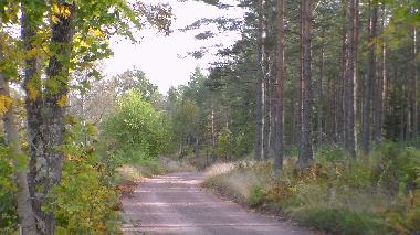 Maison de vacances �/en/au M�nsteras kommun (Smaland)ou appartement ou maison de vacances