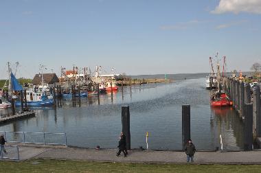 Maison de vacances /en/au Eckwarderhrne (Nordsee-Festland / Ostfriesland)ou appartement ou maison de vacances