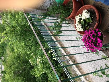 Appartement de vacances �/en/au Ortona Dei Marssi (L