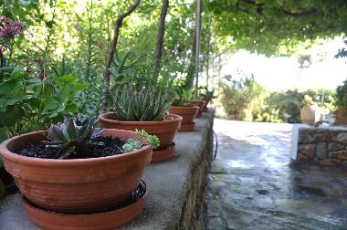 Villa �/en/au Lindos Rhodes (Dodekanisos)ou appartement ou maison de vacances