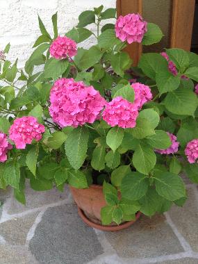 Appartement de vacances �/en/au Lugano (Lugano)ou appartement ou maison de vacances