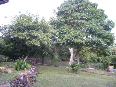 Maison de vacances �/en/au Veracruz (Panama)ou appartement ou maison de vacances