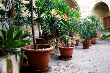 Maison de vacances /en/au Xaghra (Gozo)ou appartement ou maison de vacances