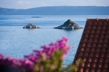 Villa �/en/au Seget Vranjica (Splitsko-Dalmatinska)ou appartement ou maison de vacances