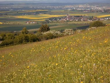 Maison de vacances /en/au fingen (Schwarzwald)ou appartement ou maison de vacances