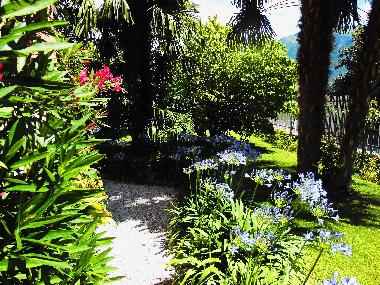 Appartement de vacances �/en/au RIVA DEL GARDA (Trento)ou appartement ou maison de vacances