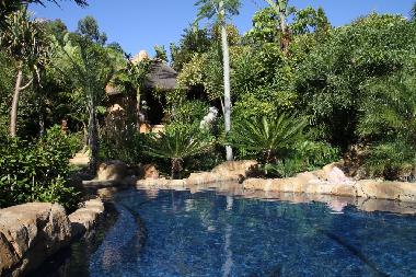 Appartement de vacances �/en/au Knysna (Western Cape)ou appartement ou maison de vacances