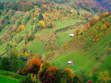 Chambre avec petit d�jeuner �/en/au Predelut (bran) (Brasov)ou appartement ou maison de vacances
