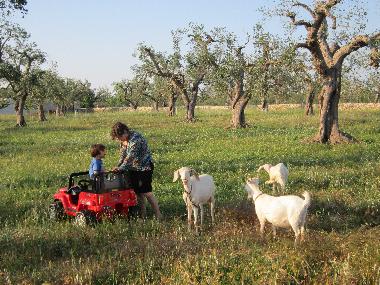 Villa �/en/au Porto Cesareo (Lecce)ou appartement ou maison de vacances