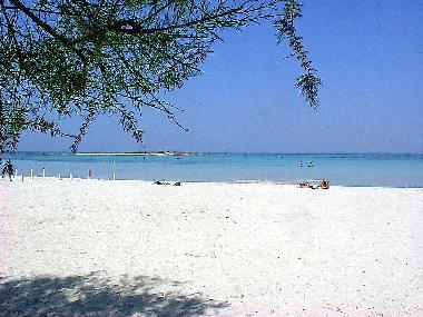 Villa �/en/au Porto Cesareo (Lecce)ou appartement ou maison de vacances