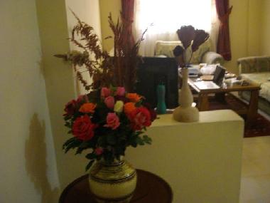 Appartement de vacances �/en/au Marrakech (Marrakech)ou appartement ou maison de vacances