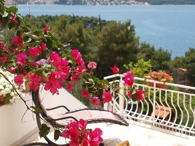 Appartement de vacances �/en/au Trogir (Splitsko-Dalmatinska)ou appartement ou maison de vacances