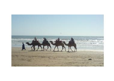 Appartement de vacances �/en/au Taghazout (Agadir)ou appartement ou maison de vacances