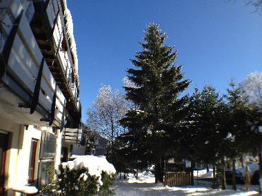 Appartement de vacances /en/au Winterberg (Sauerland)ou appartement ou maison de vacances