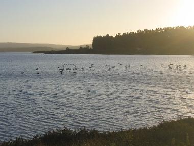 Appartement de vacances /en/au Foz do Arelho (Oeste)ou appartement ou maison de vacances