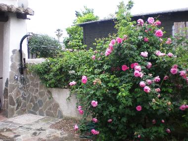 Maison de vacances /en/au Quartu Sant