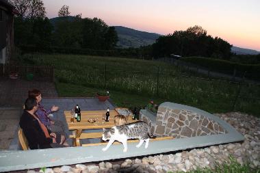 Appartement de vacances /en/au Tann(Rhn) (Rhn)ou appartement ou maison de vacances