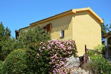 Maison de vacances /en/au Baja Sardinia (Sassari)ou appartement ou maison de vacances