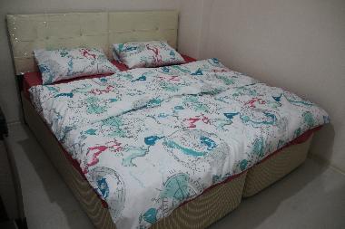 Appartement de vacances /en/au Istanbul (Istanbul)ou appartement ou maison de vacances