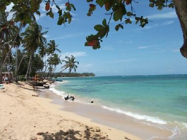 Villa �/en/au Las Terrenas (Samana)ou appartement ou maison de vacances