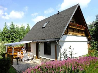 Maison de vacances /en/au Sehmatal- Cranzahl (Erzgebirge)ou appartement ou maison de vacances
