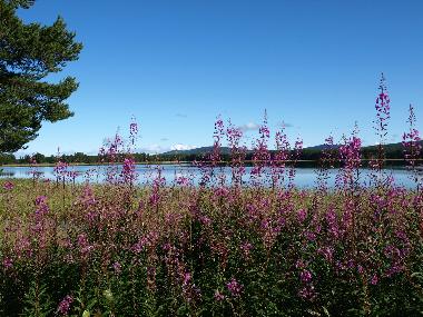 Maison de vacances �/en/au Gargn�s (V�sterbotten)ou appartement ou maison de vacances