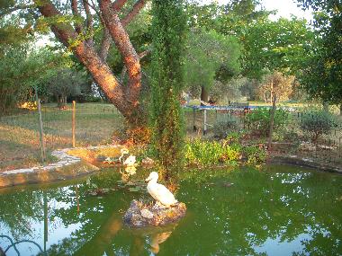 Maison de vacances /en/au Arles (Bouches-du-Rhne)ou appartement ou maison de vacances