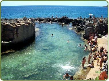 Villa /en/au tricase (Lecce)ou appartement ou maison de vacances