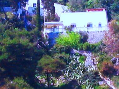 Villa �/en/au tricase (Lecce)ou appartement ou maison de vacances