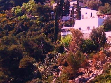 Villa �/en/au tricase (Lecce)ou appartement ou maison de vacances