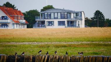 Appartement de vacances /en/au Cuxhaven (Land zwischen Elbe u. Weser)ou appartement ou maison de vacances