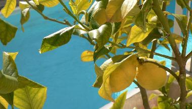 Villa �/en/au Marseillan (H�rault)ou appartement ou maison de vacances