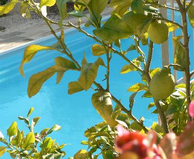 Villa �/en/au Marseillan (H�rault)ou appartement ou maison de vacances