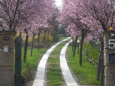 Appartement de vacances �/en/au MOASCA (Asti)ou appartement ou maison de vacances